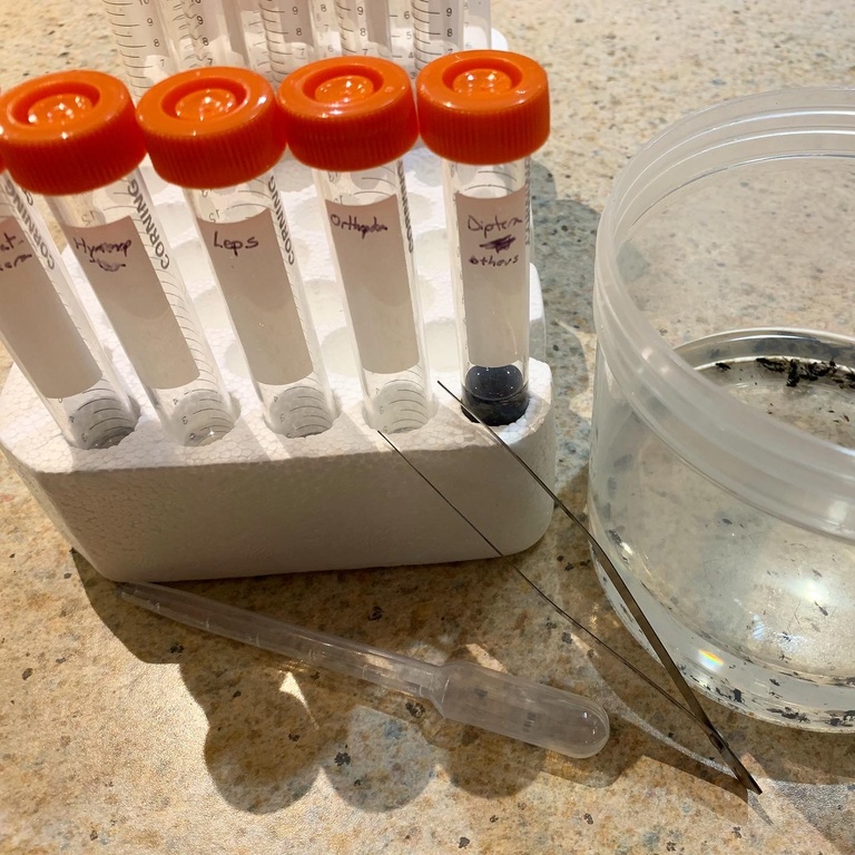 Test tubes with orange caps and a tweezers