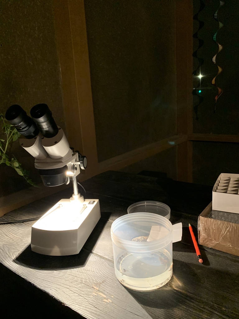 Microscope and beaker