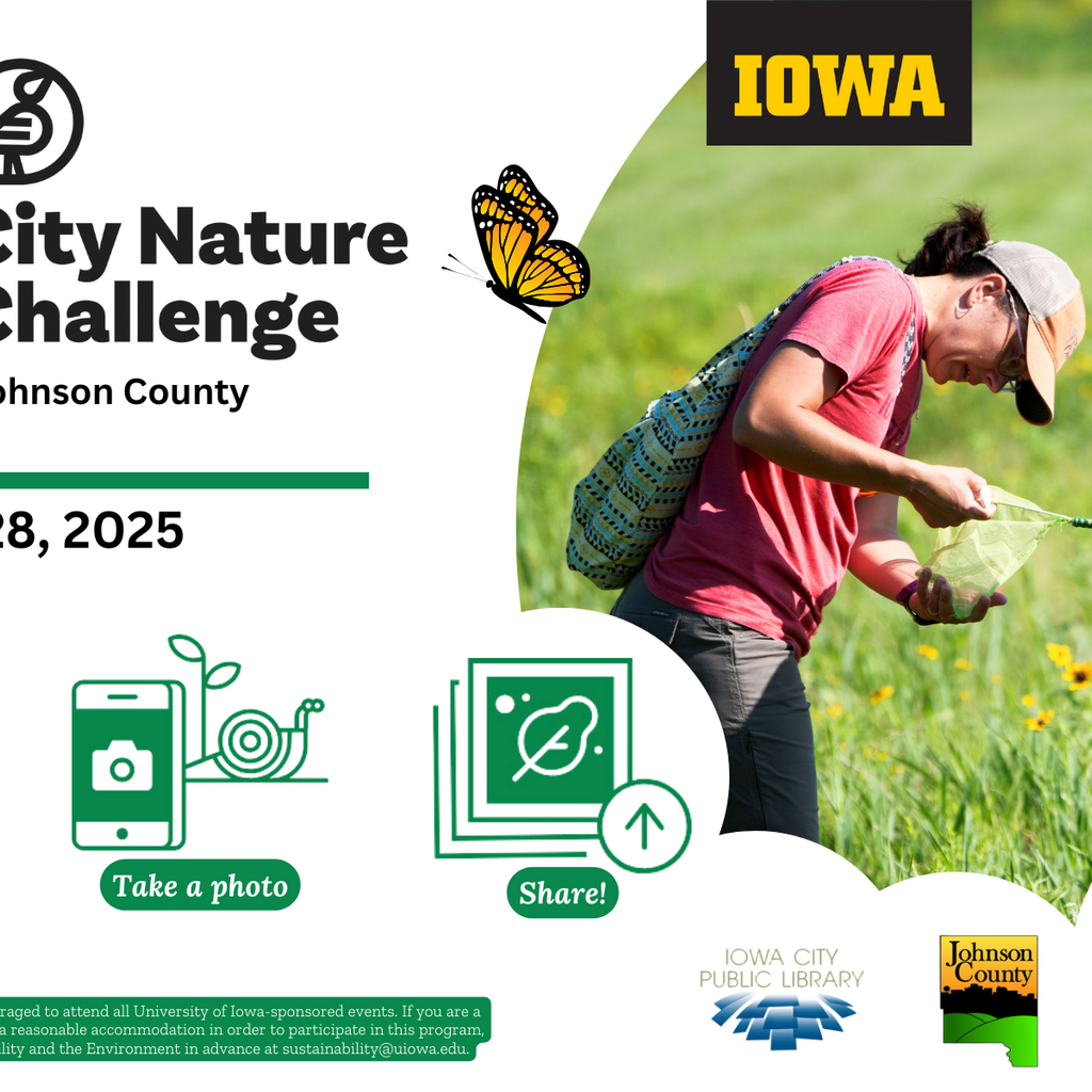 City Nature Challenge promotional image